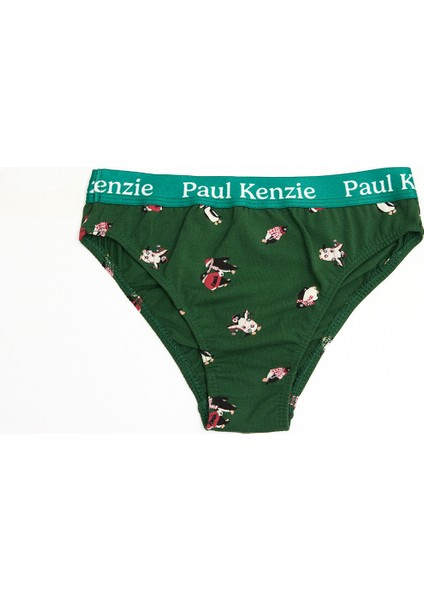 Christmas Collection - Kadın Slip Külot - Pengu In Wonderland