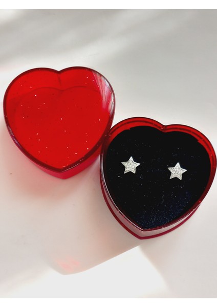 Gümüş Kalp Kutulu Vintage Yıldız Tasarım Kadın Küpe Yılbaşı Yeni Yıl Hediye 14