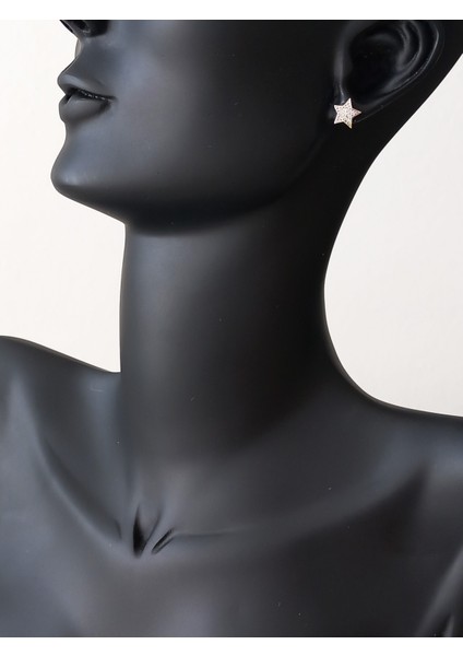 Gümüş Kalp Kutulu Vintage Yıldız Tasarım Kadın Küpe Yılbaşı Yeni Yıl Hediye 14 fiyatları