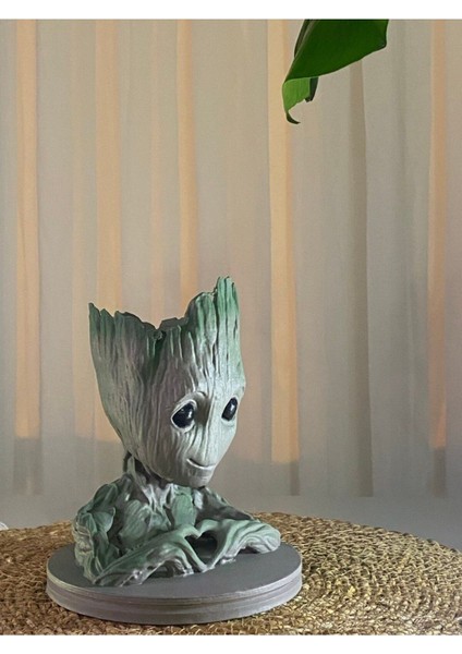 Groot Saksı/ fiyatları