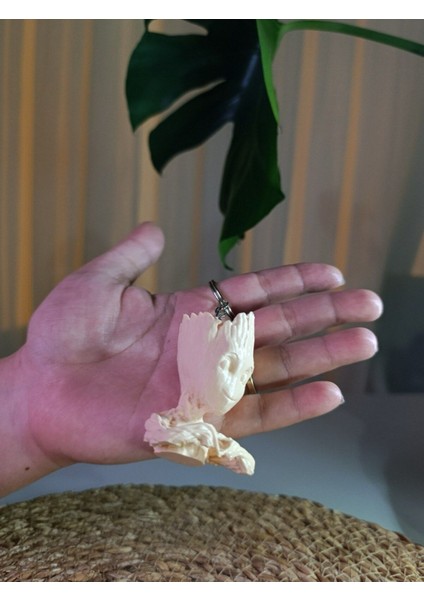 Groot Anahtarlık fiyatları