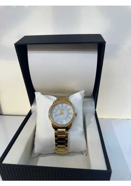 Kadın Kol Saati fiyatları