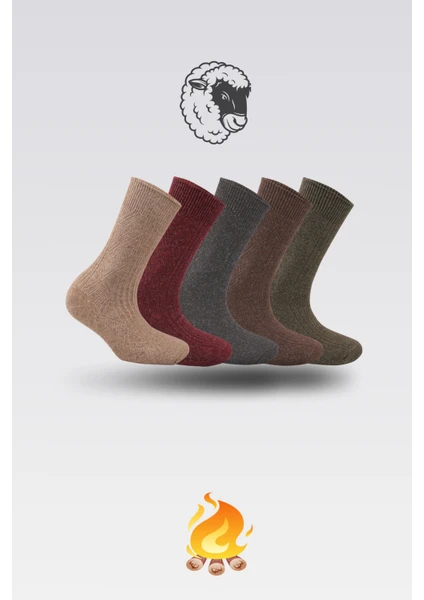 Nova Socks 5'li Kışlık Lambswool Kadın Yün Çorap