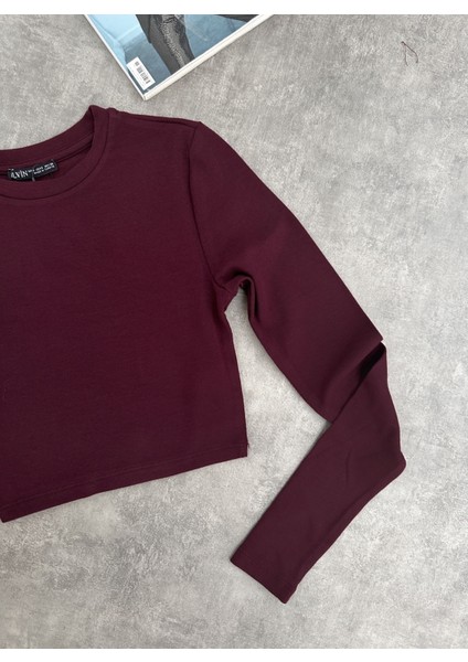 Uzun Kollu Basic Crop Top fiyatları