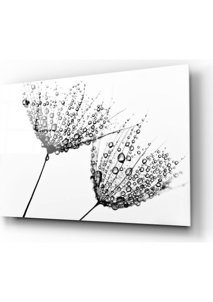 Karahindiba Cam Tablo | Hediyelik, Dekoratif, Ofis, Mutfak fiyatları