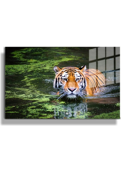 Eğlenceli Hayvanlar, Yapay Zeka Destekli, 3D Dekoratif Baskı Yatay Cam Tablo 513