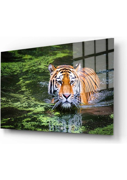 Eğlenceli Hayvanlar, Yapay Zeka Destekli, 3D Dekoratif Baskı Yatay Cam Tablo 513 fiyatları