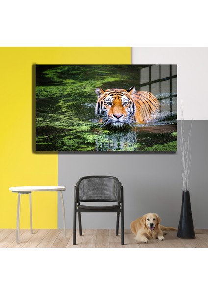 Eğlenceli Hayvanlar, Yapay Zeka Destekli, 3D Dekoratif Baskı Yatay Cam Tablo 513 modelleri