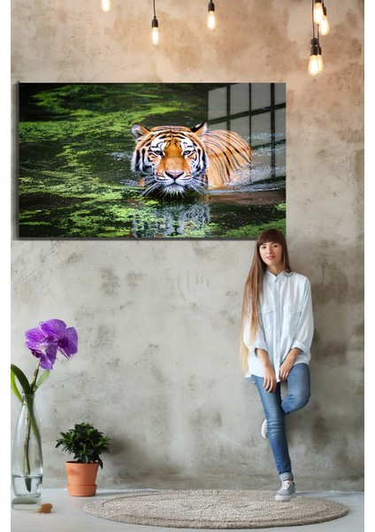 Eğlenceli Hayvanlar, Yapay Zeka Destekli, 3D Dekoratif Baskı Yatay Cam Tablo 513 fırsatları