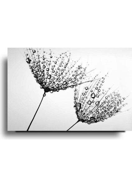 Karahindiba Cam Tablo | Hediyelik, Dekoratif, Ofis, Mutfak modelleri