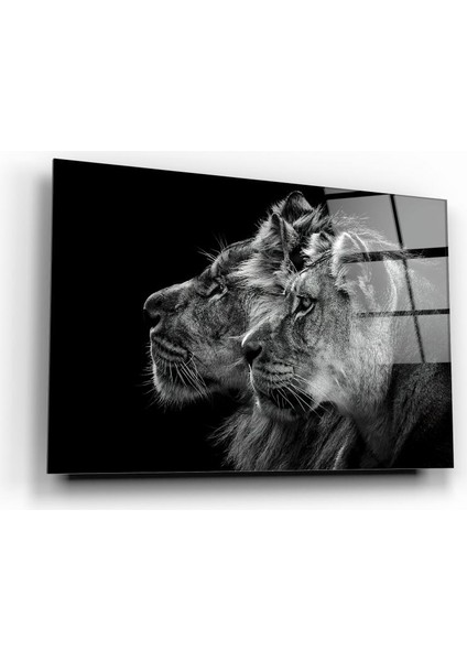 Aslan Cam Tablo | Hediyelik, Dekoratif, Ofis, Mutfak