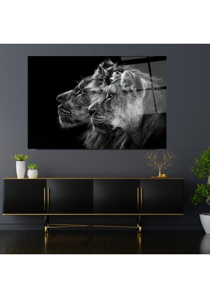 Aslan Cam Tablo | Hediyelik, Dekoratif, Ofis, Mutfak fırsatları