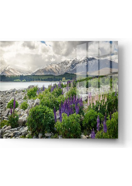 Dekoratif Doğa, Manzara Cam Tablolar, 3D Dekoratif Baskı 499 fiyatları