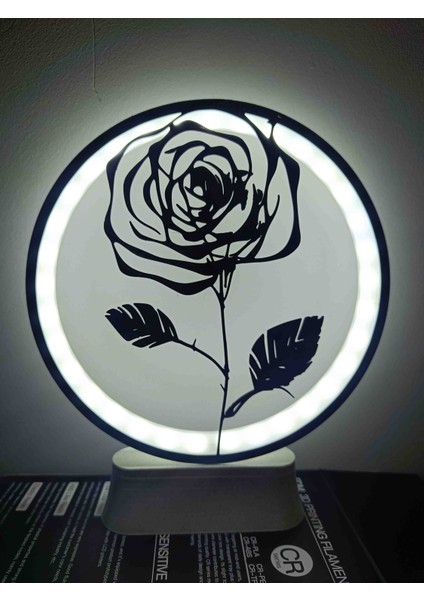 Led Işıklı Gül modelleri