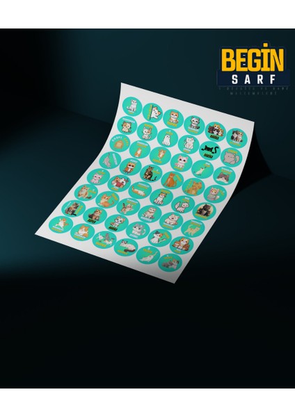 Ödev Sticker Kedi Etiketi Öğretmen Harika Süper Sticker 3 cm 48 Adet