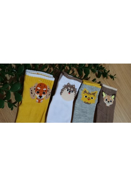 Balco Desen Erkek Bebe Kaydırmaz Taban Soket Çorap modelleri