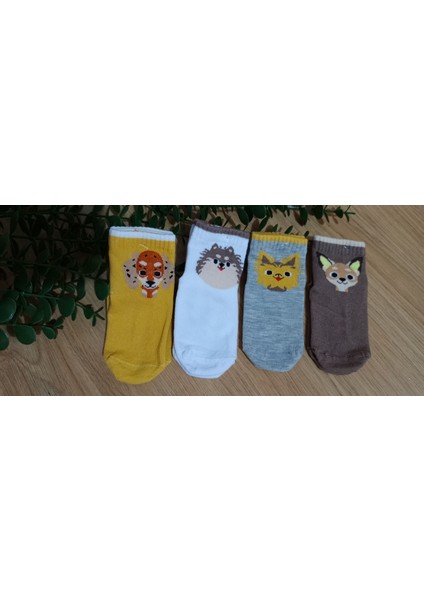 Balco Desen Erkek Bebe Kaydırmaz Taban Soket Çorap