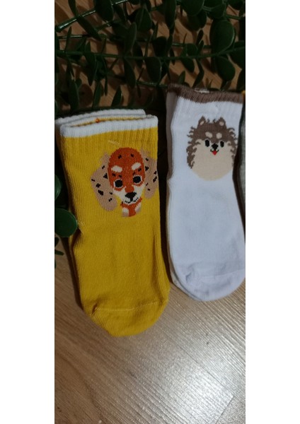 Balco Desen Erkek Bebe Kaydırmaz Taban Soket Çorap