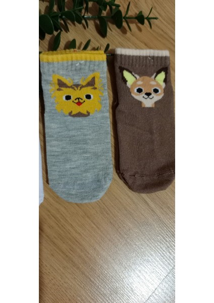 Balco Desen Erkek Bebe Kaydırmaz Taban Soket Çorap