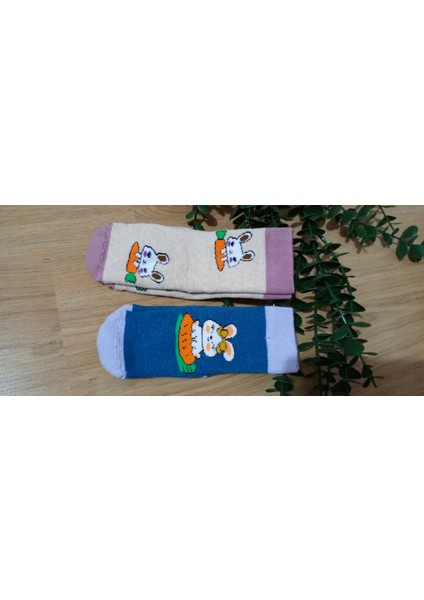 2'li Terra Desen Kız Havlu Kaydırmaz Taban Bebe Soket Çorap indirimleri