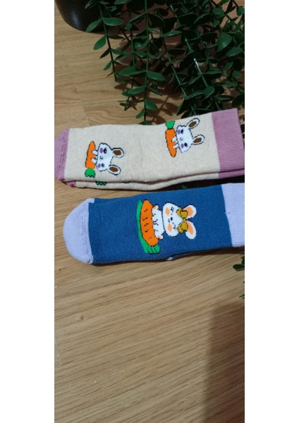 2'li Terra Desen Kız Havlu Kaydırmaz Taban Bebe Soket Çorap