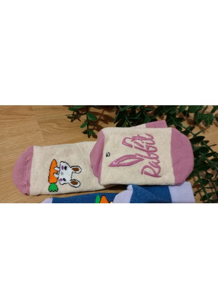 2'li Terra Desen Kız Havlu Kaydırmaz Taban Bebe Soket Çorap