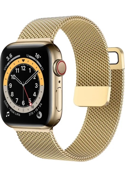 Apple Watch Mıknatıslı Hasır Metal Kordon ( Seri 10 - 42 mm Uyumlu) Gold
