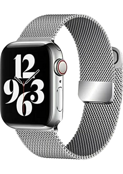 Apple Watch Mıknatıslı Hasır Metal Kordon ( Seri 10 - 42 mm Uyumlu) Gümüş