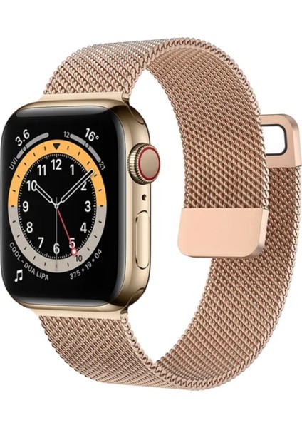 Apple Watch Mıknatıslı Hasır Metal Kordon ( Seri 10 - 42 mm Uyumlu) Rose Gold