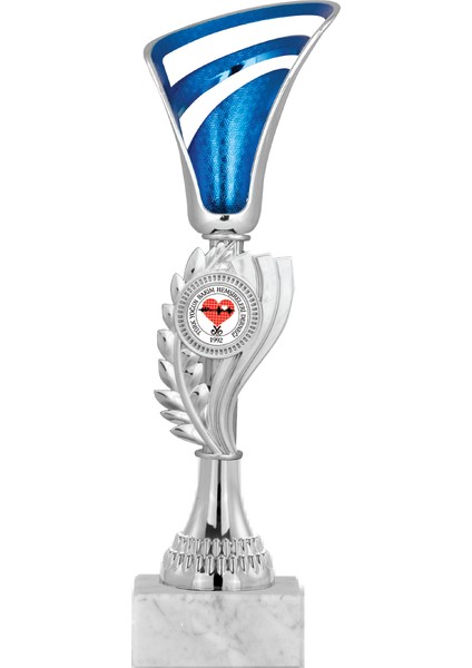 Futbol Kupası Ödül Kupası Tören Kupası 26 cm GN038