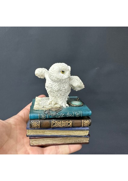 Mini Mücevher Kutusu Beyaz Baykuş fiyatları