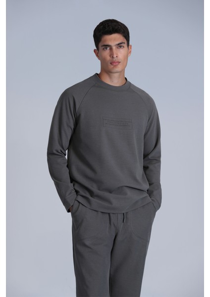 Lınes Erkek Sweatshirt Taş