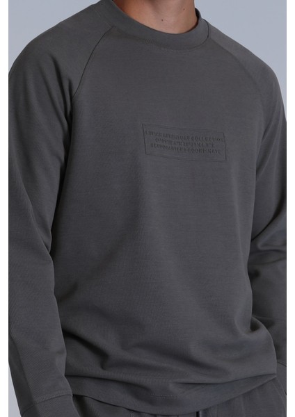 Lınes Erkek Sweatshirt Taş