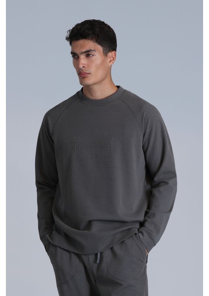 Lınes Erkek Sweatshirt Taş