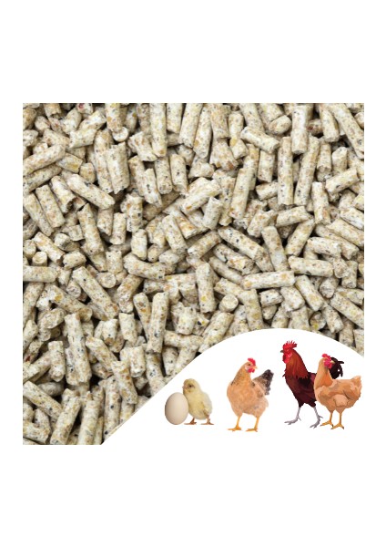 3 KG Pelet Proteinli Özel Tavuk Kaz Ördek ve Kanatlı Hayvan Besi Yumurta Yemi 3 KG modelleri