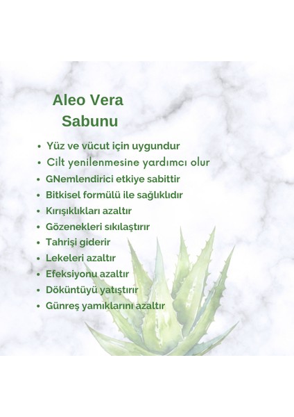 Kabak Lifli Aloe Vera Sabunu 100 Gr indirimleri