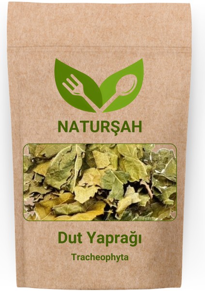 Dut Yaprağı (Tracheophyta) 50 gr