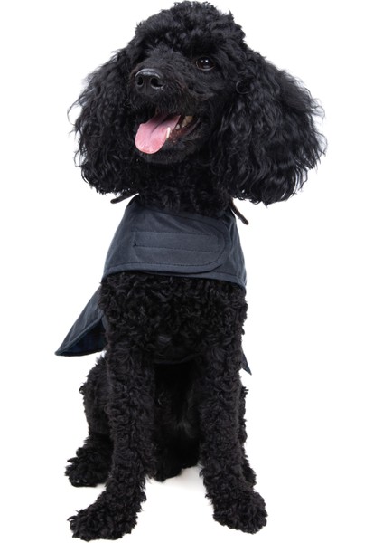 Su Geçirmez Yağlı Koton Köpek Montu