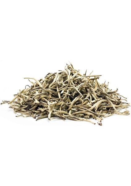 Beyaz Çay Camellia Sinensis 1 kg