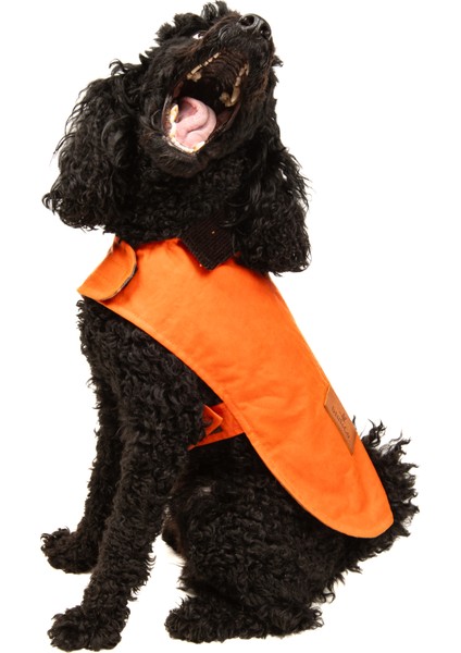 Su Geçirmez Yağlı Koton Köpek Montu fiyatları