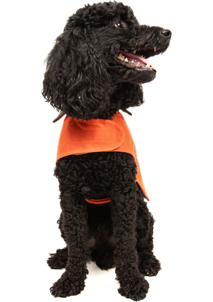 Su Geçirmez Yağlı Koton Köpek Montu modelleri