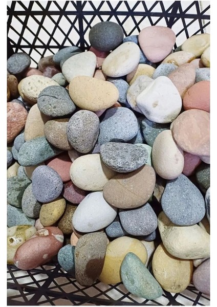 1 kg Çok Amaçlı Dekoratif Büyük Çakıl Taşı, Doğal Deniz Koylarından El Değmeden Hazırlandı fiyatları