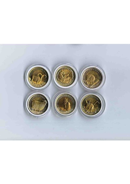 Bimetal Hayvanlar Hatıra Para Lotu 6 Adet Kapsül Içinde Görseldeki Ürün