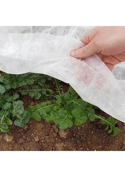 2,4X50 Metre 19 Gram Agril Isı Don Örtüsü, Zirai Don Kırağı Örtü Karpuz Çilek Bitki Koruma Örtüsü, Sera Örtüsü Elyaf fiyatları