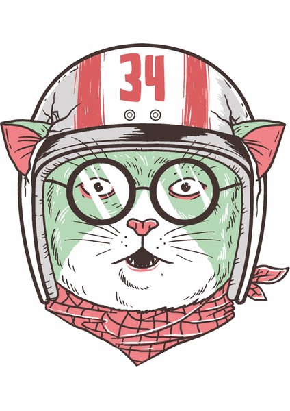 Kasklı Kedi Sticker 00278