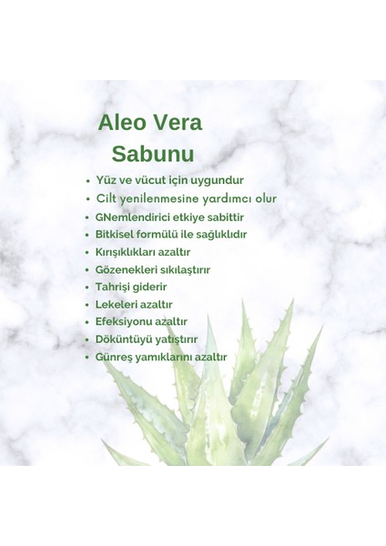 Aloe Vera Sabunu 100 gr x 4 Adet ( Organik Saf Sabun)
