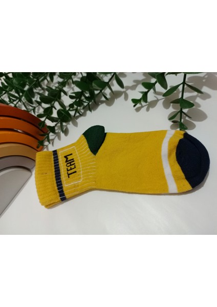 4'lü Suzy Desen Mevsimlik Erkek Çocuk Soket Çorap fiyatları