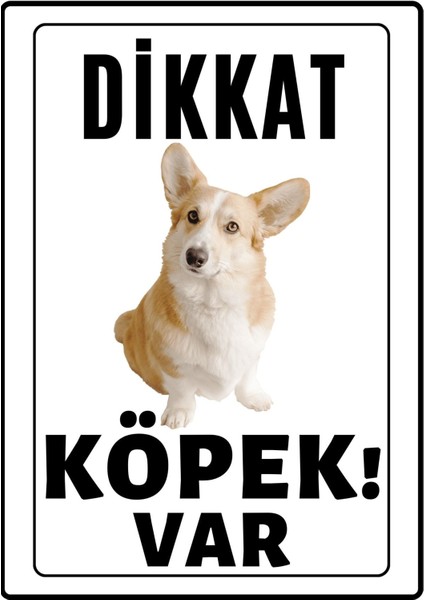 Dikkat Köpek Var Uyarı Ikaz Levhası Pvc Kaplama A4 Tüylü