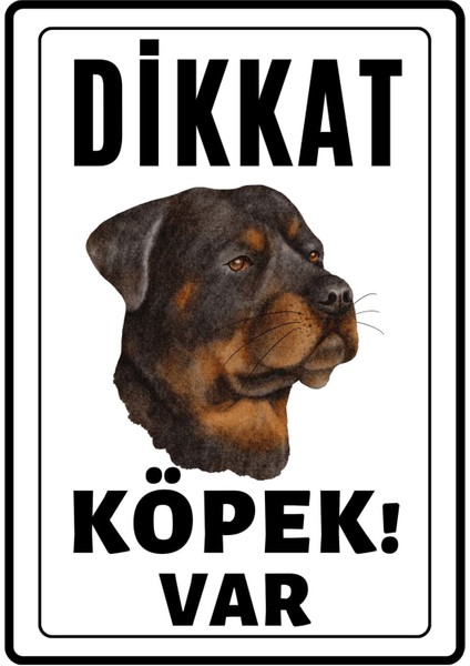 Dikkat Köpek Var Uyarı Ikaz Levhası Pvc Kaplama A4 Bad Dogs 7