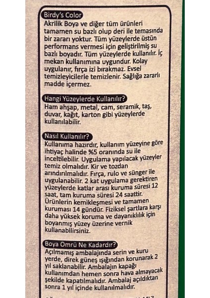 Birdy's Color Yeşil Akrilik Boya 500GR